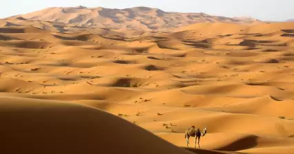 Duny Erg Chebbi
