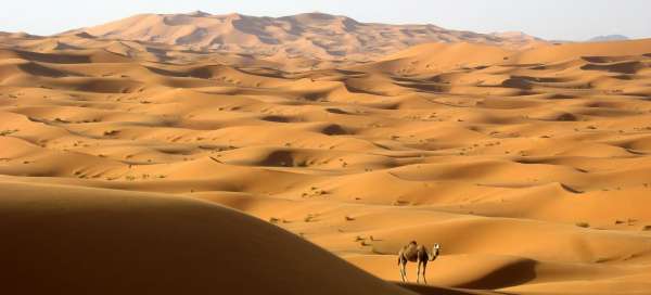 Dunes of Erg Chebbi: Weather and season