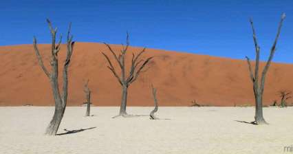 Namib-woestijn