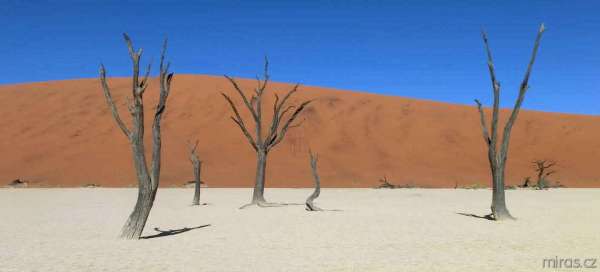 Poušť Namib: Bezpečnost