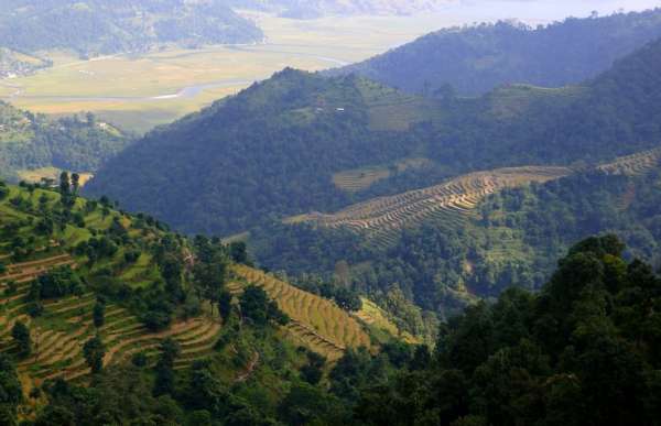 Excellent views of the rice terraces