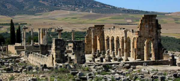 Volubilis: Prices and costs
