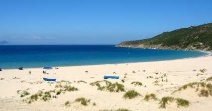 Playa de Dalia