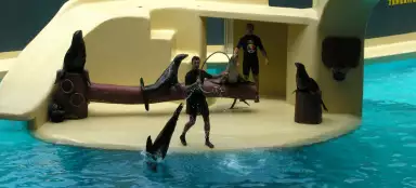 로로 파르케
