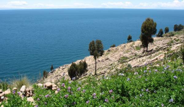 Titicaca als Süßwassermeer