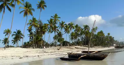 Swimming in Kigomani and Matemwe
