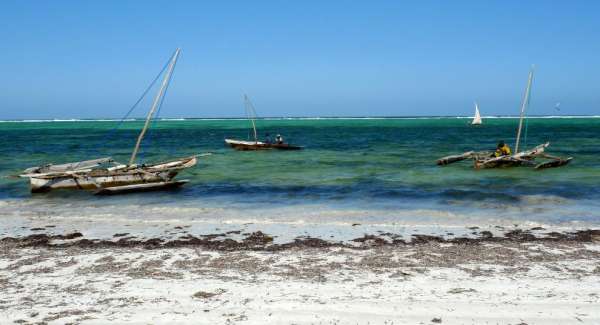 Zanzibarské katamarány
