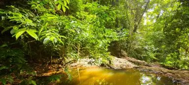 Chute d'eau de Khlong Chak
