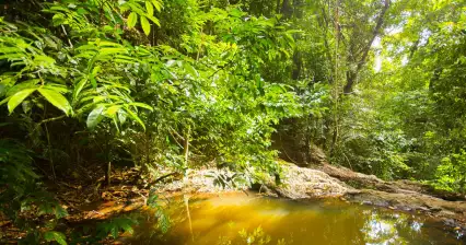 Vodopád Khlong Chak Waterfall