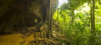 Jaskinia Nietoperzy