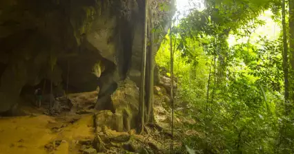 Bat Cave