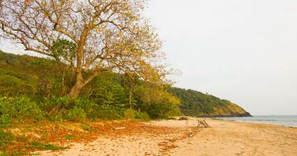 Spiaggia della baia di bambù Koh Lanta