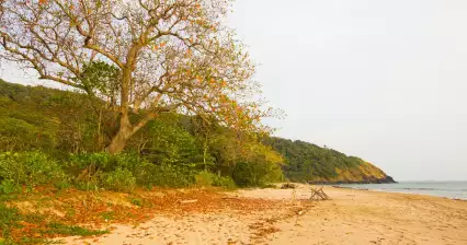 Pláž Bamboo Bay Koh Lanta