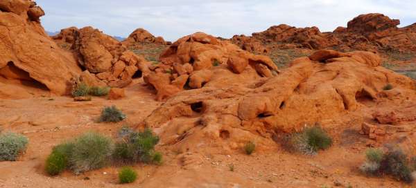 Valley of Fire state park: Turistika