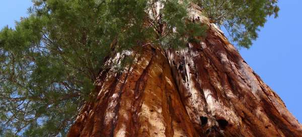 Sequoia national park: Prices and costs