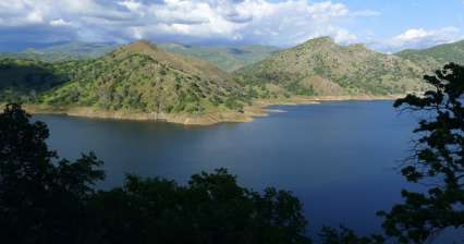 Pino Lago Piatto