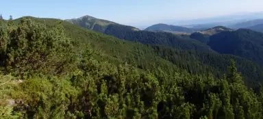 Marcia attraverso il Parco Nazionale Calimani