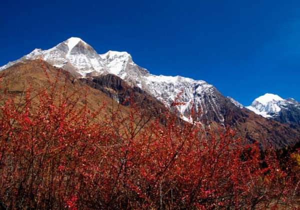 Colours of Himalaya