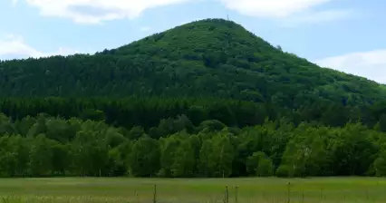 Luž