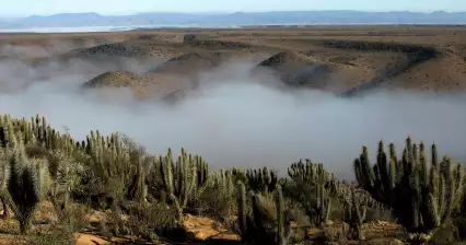 Vallée de l'Encanto