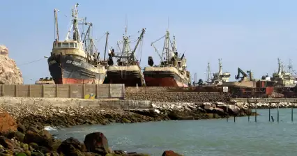 Arica