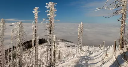 Moravskoslezské Beskydy
