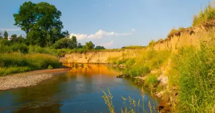 Poodří