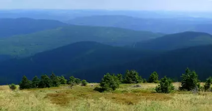 Hrubý Jeseník