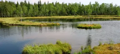 Šumava