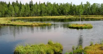 Šumava