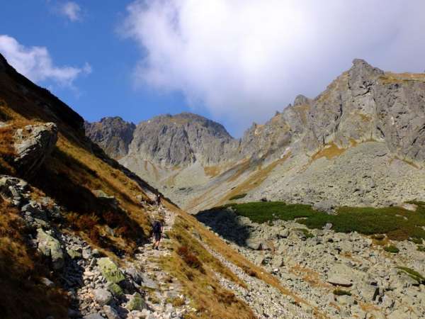 Sali allo Scudo dell'Agnello (non all'AGNELLO!) :)