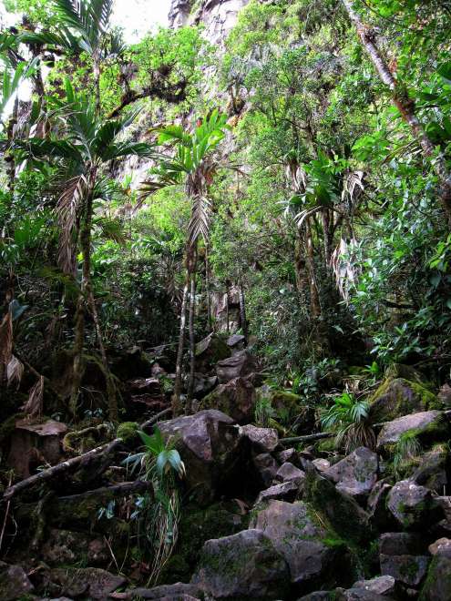 Ein Weg entlang der Mauer von Roraima