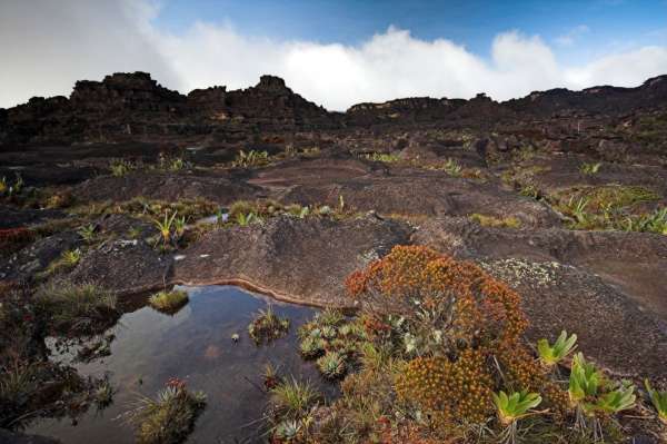 Viaggio lungo la Table Mountain