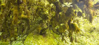 Sendero natural de Ang Ka