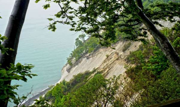 Møns Klint, scogliere di gesso