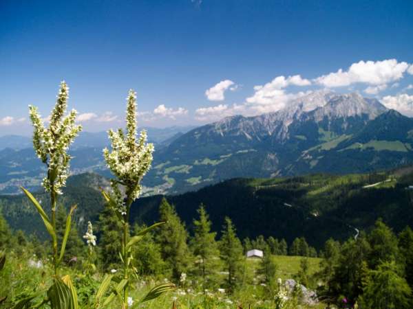 Alpy Berchtesgaden