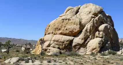 Národní park Joshua Tree