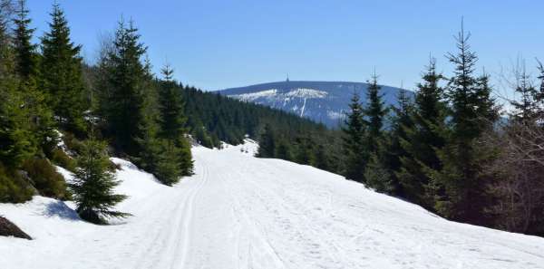 Cross-country ski trail and Montenegro