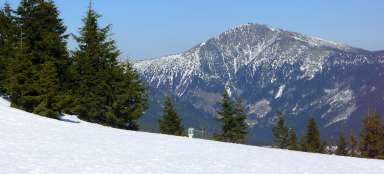 Wanderung durch Liščí hora nach Černý Důl