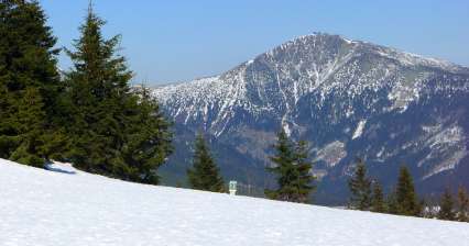 Wandeling door Liščí hora naar Černý Důl