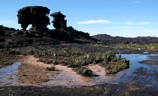 Formations rocheuses sur Roraima