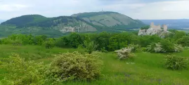 Devin (Pavlov Hills)