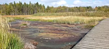 Réserve naturelle nationale de Soos