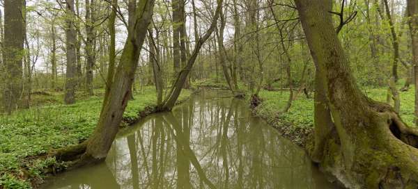 Výlet do Poodří