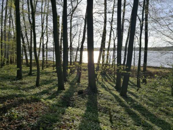 Bossen, vlaktes en veel water