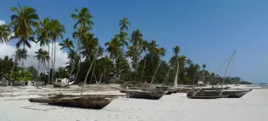 Zanzibar