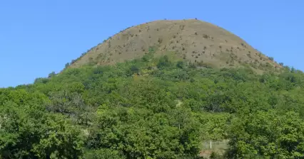 Oblík