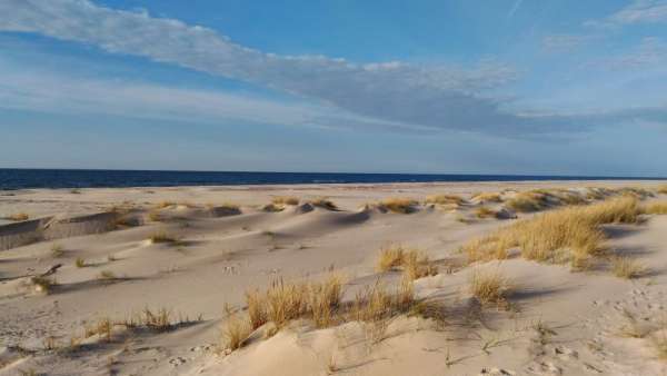 La vista sul mare è affascinante