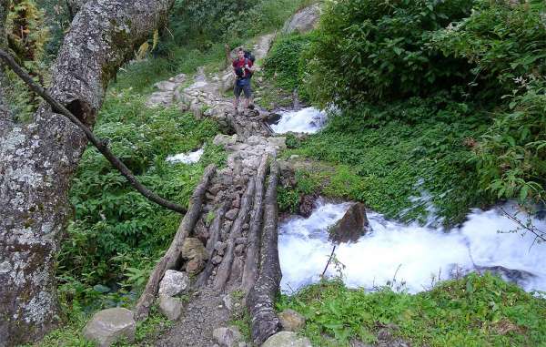 Strada della giungla