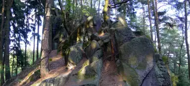 Randonnée à travers l'étang